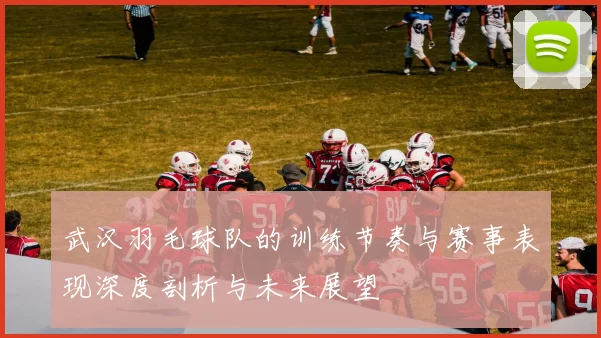 武汉羽毛球队的训练节奏与赛事表现深度剖析与未来展望